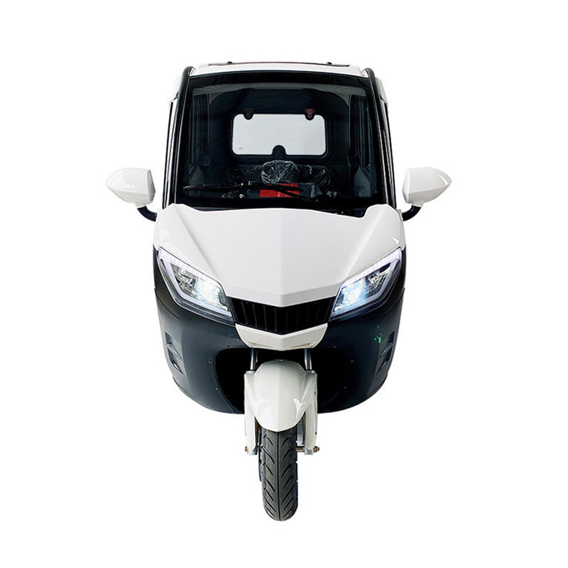 COC EEC Certificate Fully Enclosed 3 Wheel Motorized Mobility Scooter Electric Car For Sale