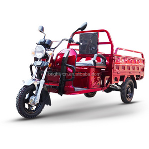 EEC COC certificate cheap and hot sale three wheel electric loading trike electric truck cargo tricycle