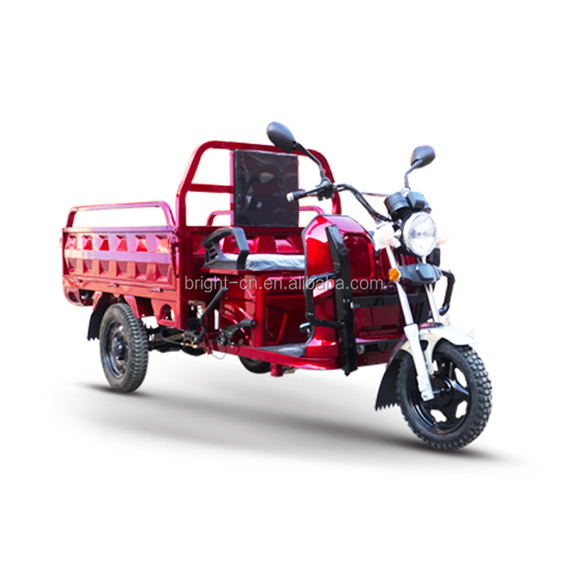 EEC COC certificate cheap and hot sale three wheel electric loading trike electric truck cargo tricycle