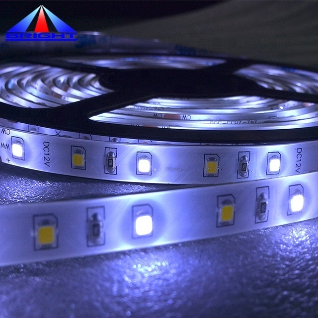 High CRI 95 dual color led strip light smd2835 SMD2110 double color led tape Bi color led lighting