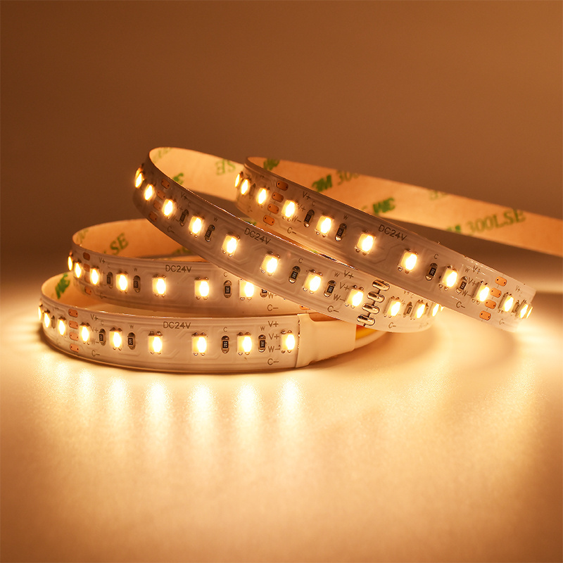 LED Light Strip With Remote Control Waterproof 24V SMD2835 2IN1 Warm Cold White 2700 6500K 120Leds/m Led Lights For Bedroom