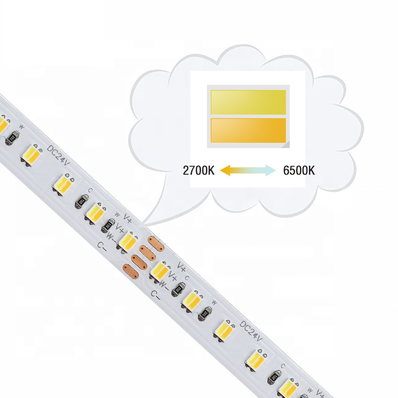 LED Light Strip With Remote Control Waterproof 24V SMD2835 2IN1 Warm Cold White 2700 6500K 120Leds/m Led Lights For Bedroom