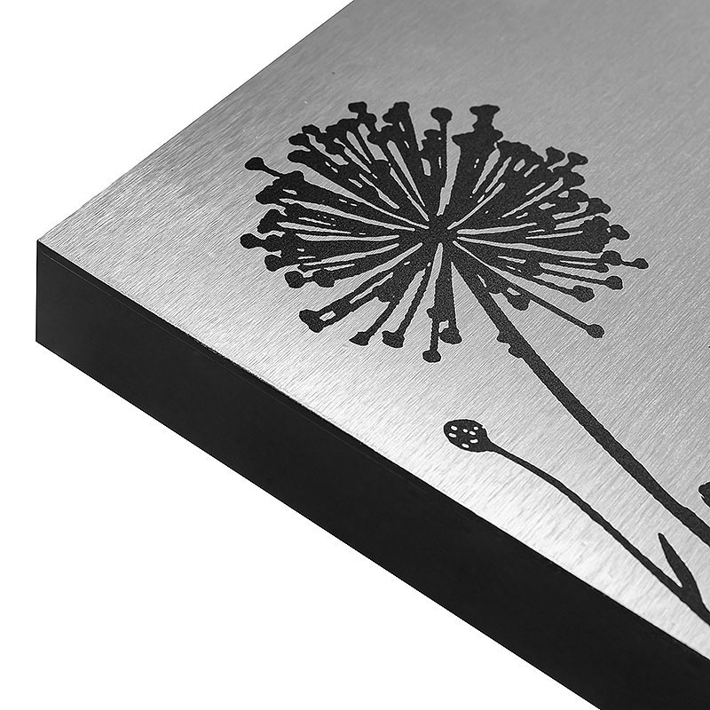 Dandelion Graphic Art Print on Metal Aluminum Wall Art Painting Nature