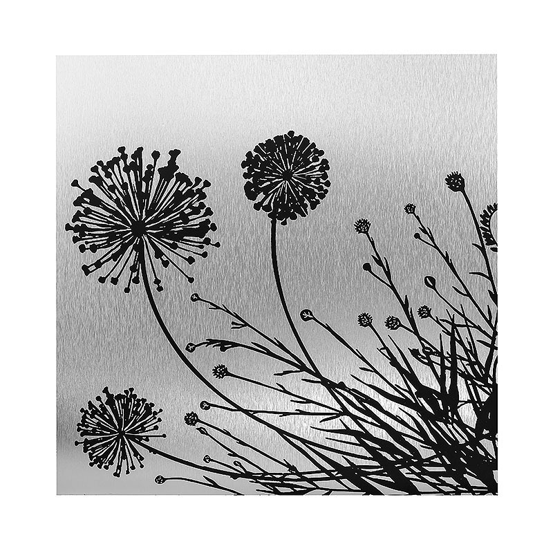 Dandelion Graphic Art Print on Metal Aluminum Wall Art Painting Nature