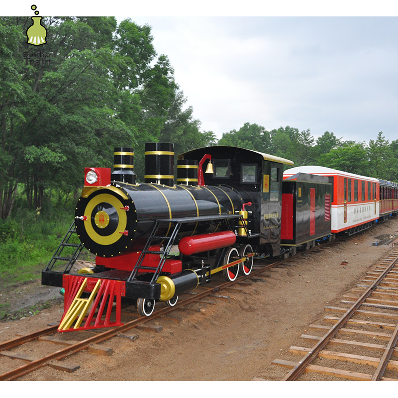 Railway locomotive manufacturer amusement park orbit train