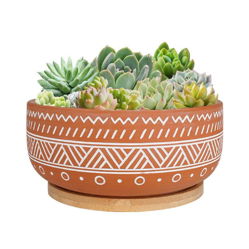 8 Inch Large Round Shallow Bonsai Pot Terracotta Succulent Planter Pot with Drainage Hole and Saucer for Indoor Plants