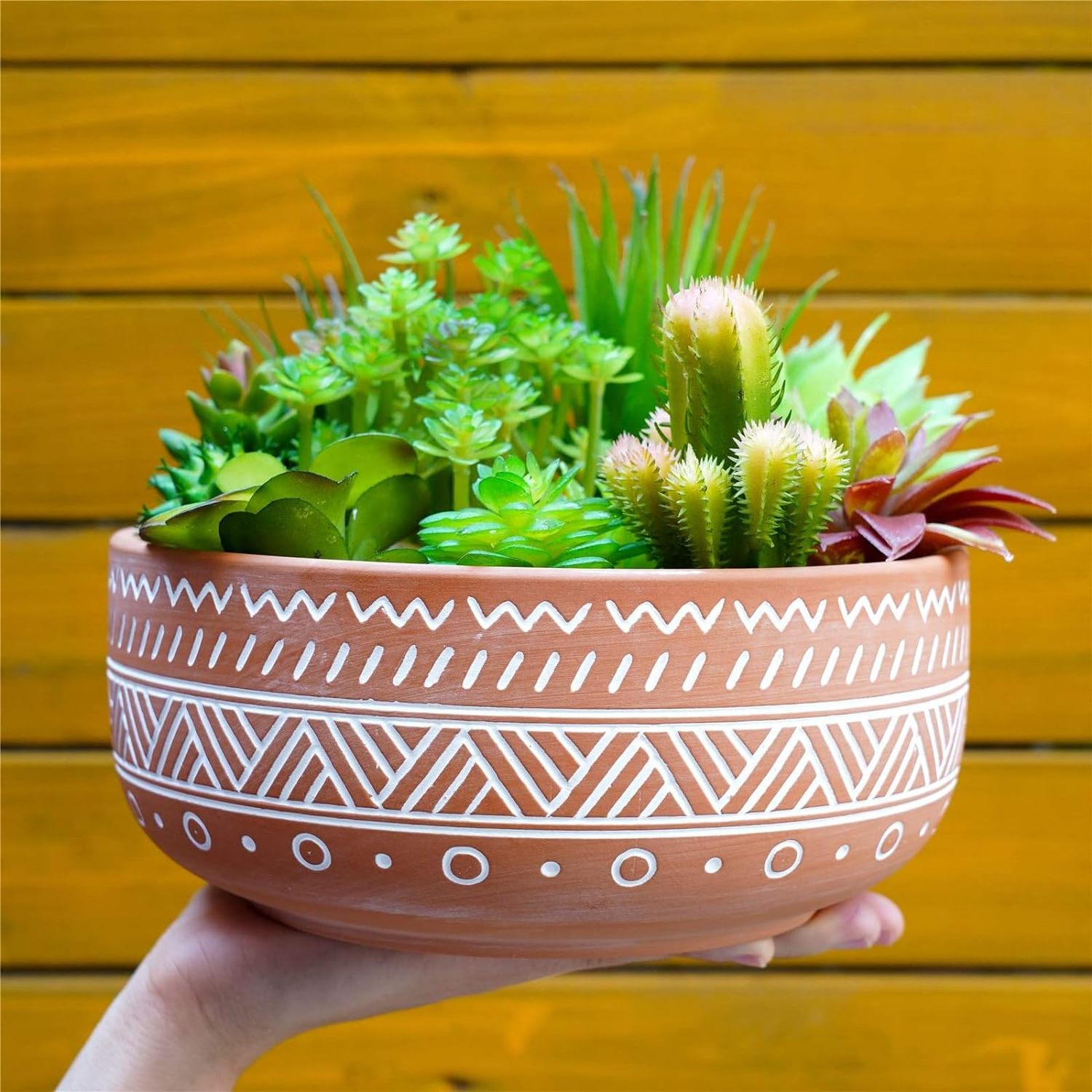 8 Inch Large Round Shallow Bonsai Pot Terracotta Succulent Planter Pot with Drainage Hole and Saucer for Indoor Plants