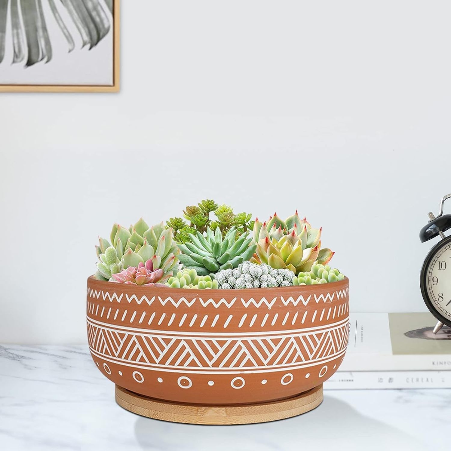 8 Inch Large Round Shallow Bonsai Pot Terracotta Succulent Planter Pot with Drainage Hole and Saucer for Indoor Plants