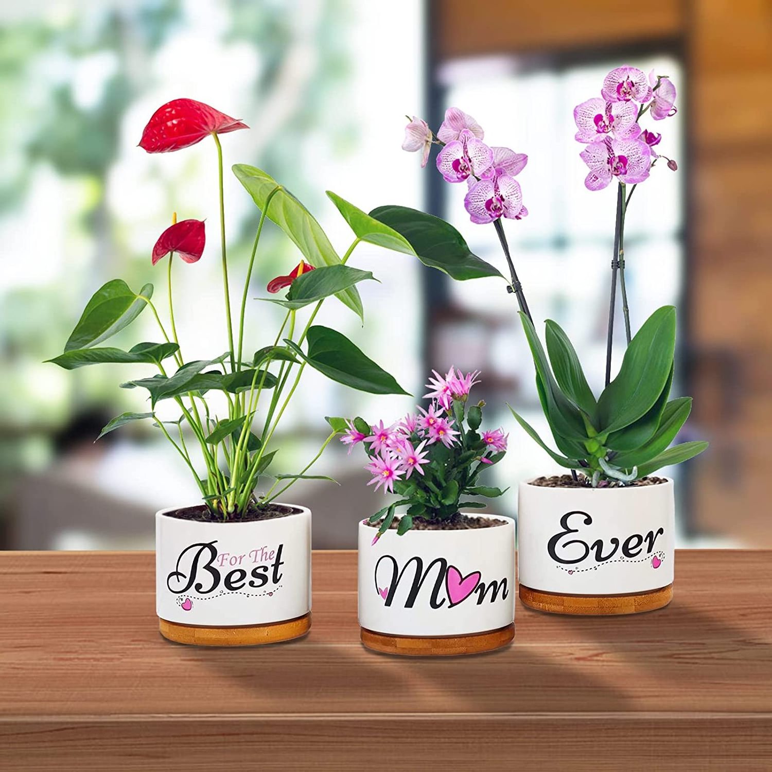 Birthday Gifts Women Ceramic Succulent Pots Indoor Planter for Mom