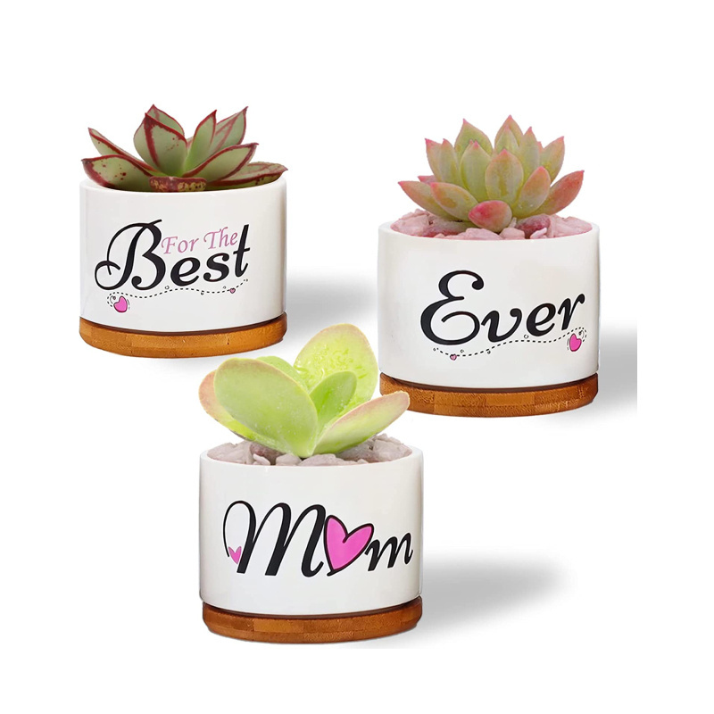 Birthday Gifts Women Ceramic Succulent Pots Indoor Planter for Mom