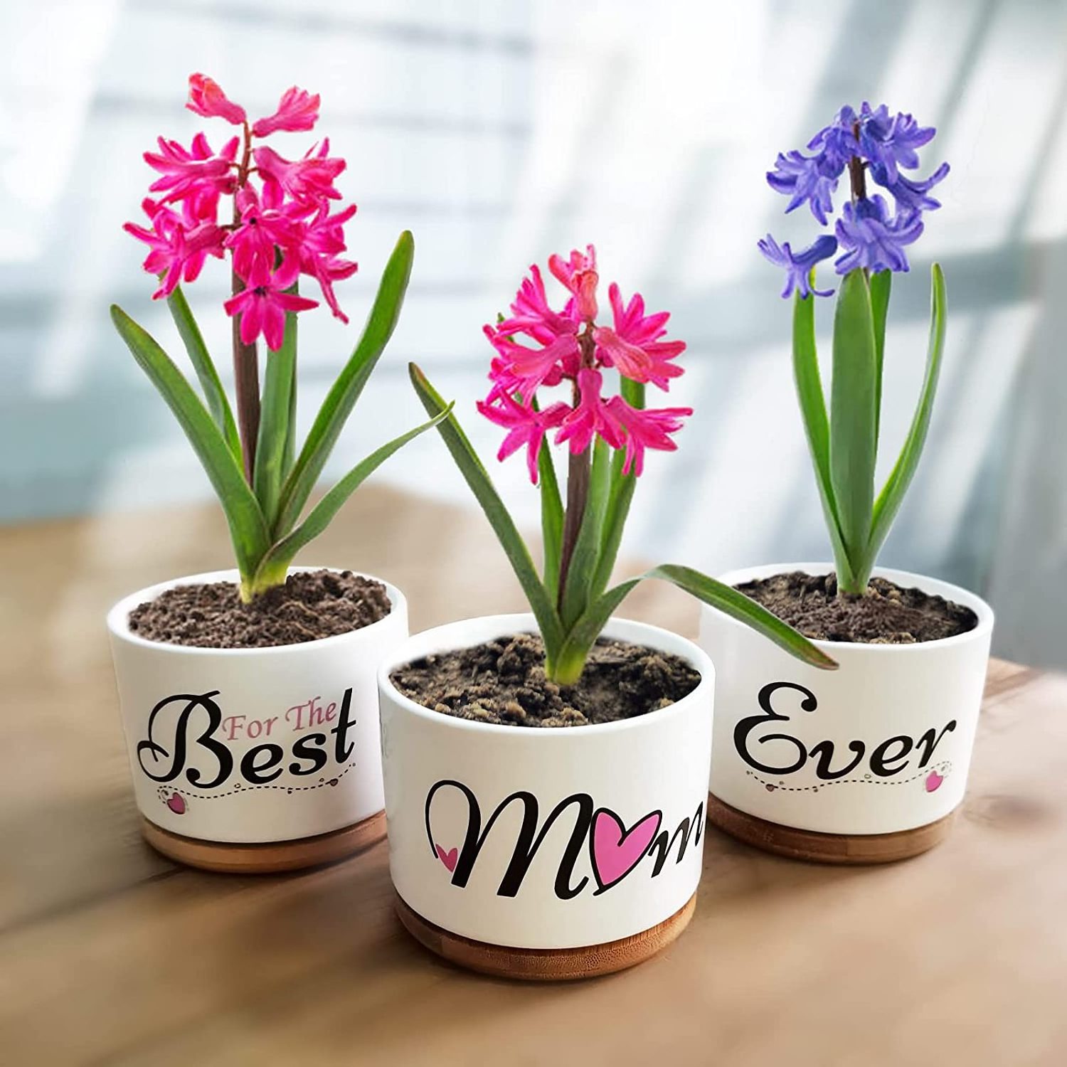 Birthday Gifts Women Ceramic Succulent Pots Indoor Planter for Mom