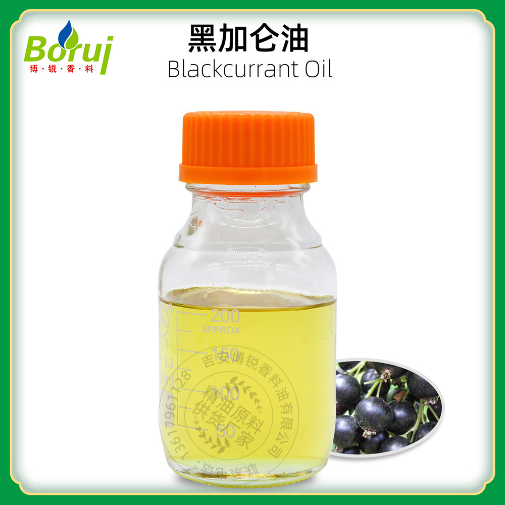 Wholesale cold pressed organic pure natural black currant seed oil for hair & lip