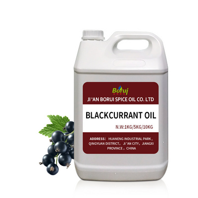 Wholesale cold pressed organic pure natural black currant seed oil for hair & lip