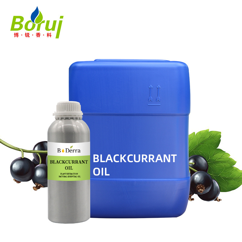 Wholesale cold pressed organic pure natural black currant seed oil for hair & lip