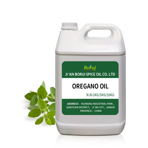 Manufacturer Wholesale Price Wild Origanum Vulgare Extract Oil Bulk 100% Pure Natural Organic Oregano Essential Oil