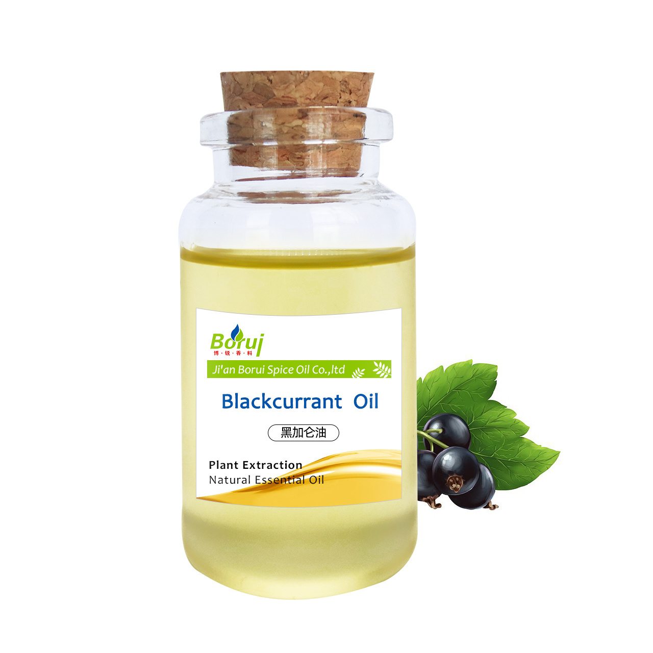 Factory bulk sale 100% pure natural black currant seed with for skin care