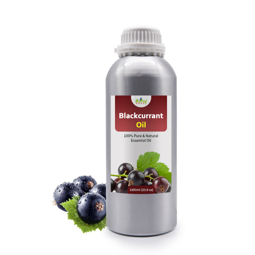 Factory bulk sale 100% pure natural black currant seed with for skin care