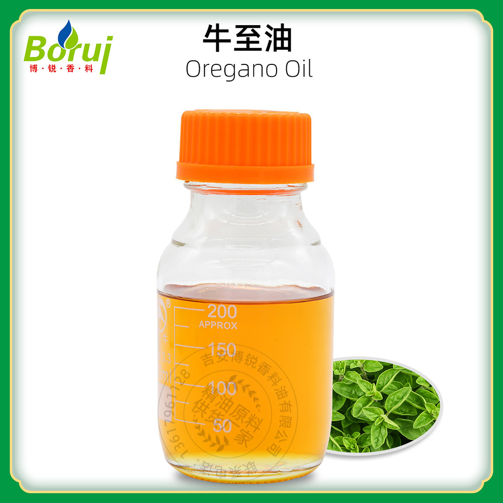 Manufacturer Wholesale Price Wild Origanum Vulgare Extract Oil Bulk 100% Pure Natural Organic Oregano Essential Oil