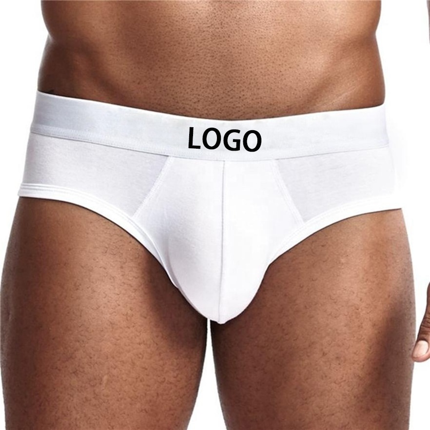 Men's underwear Custom Logo Plus Size Invisible Nylon Gay Sexy Mens Under Wear Sexy Underwear Men'S Panties Underwear