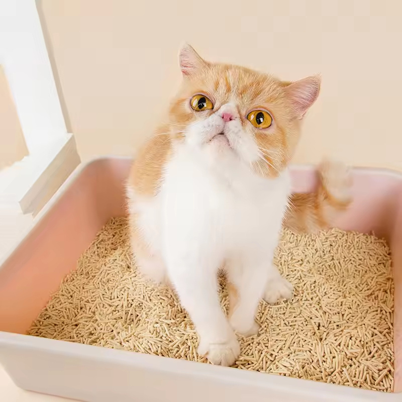 6L Tofu Cat Litter Biodegradable Natural  Deodorizing Cat Litter