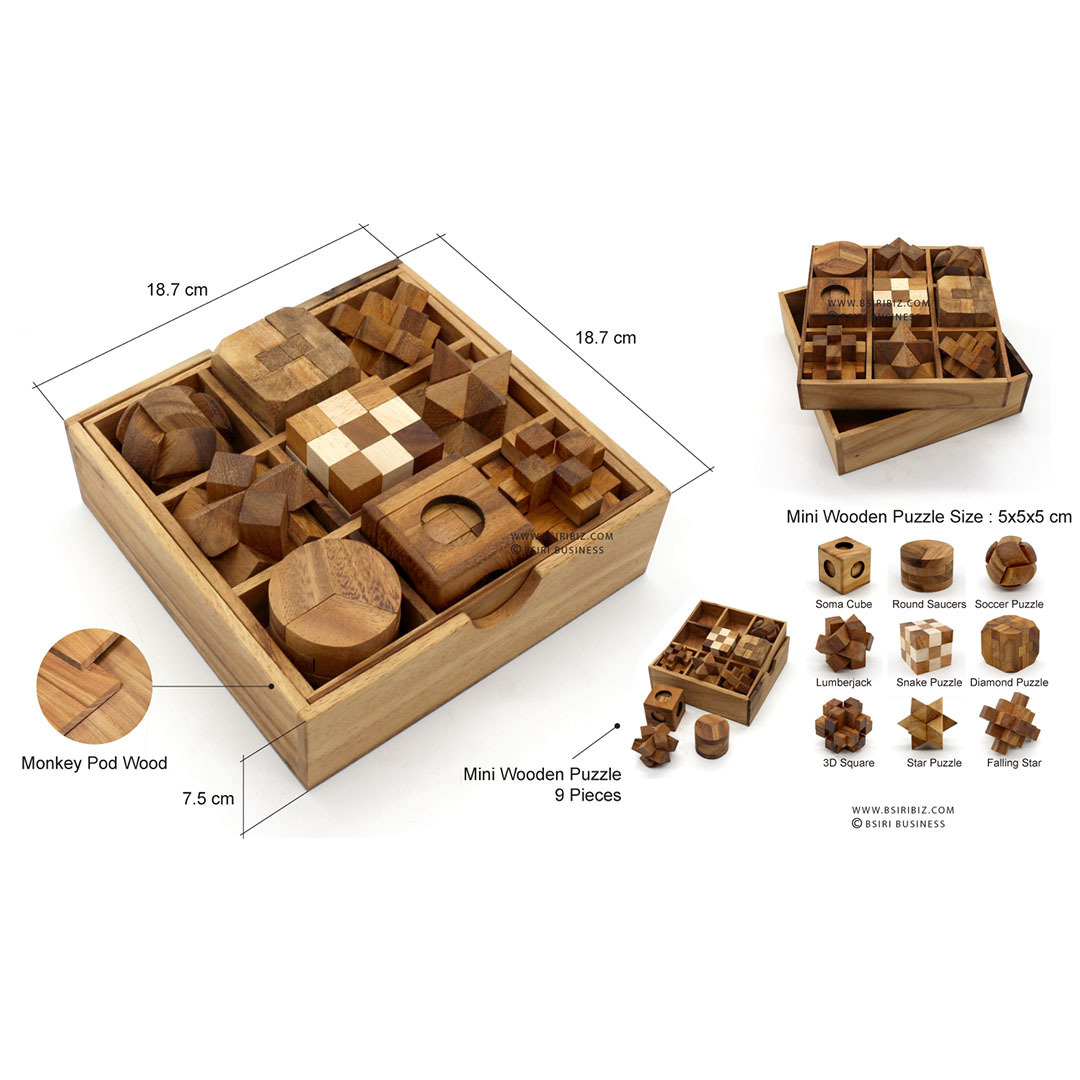 A Unique Popular Games Puzzles for Adults Brain Games and Educational Games for Kids in Set of 9 Wooden Puzzles