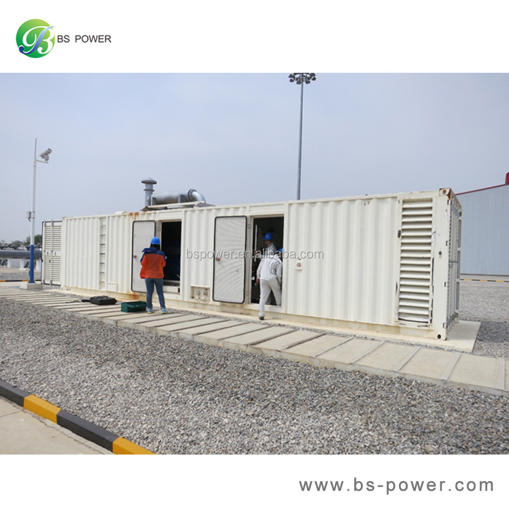 1000 kW 1 MW Gas generator natural gas generator for power plant