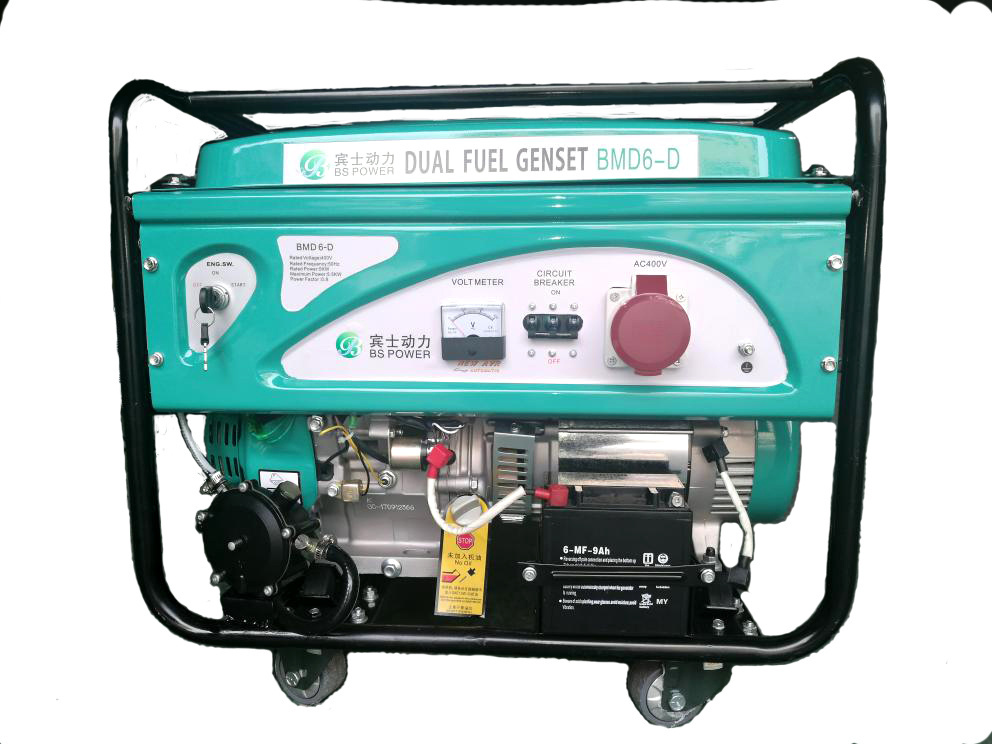 5.25KVA Sportsman 5000 Watt Dual Fuel Generator With Gas And Gasoline Can Be Use