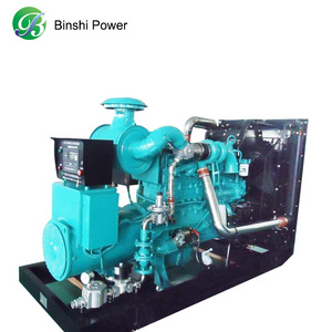 1000 kW 1 MW Gas generator natural gas generator for power plant