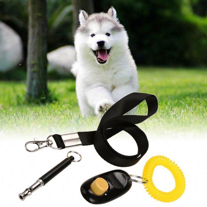 dog button clicker training whistle