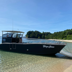 Allsealion 32m Steel LCT type River and Sea Coastal Container Barge Boat for sale