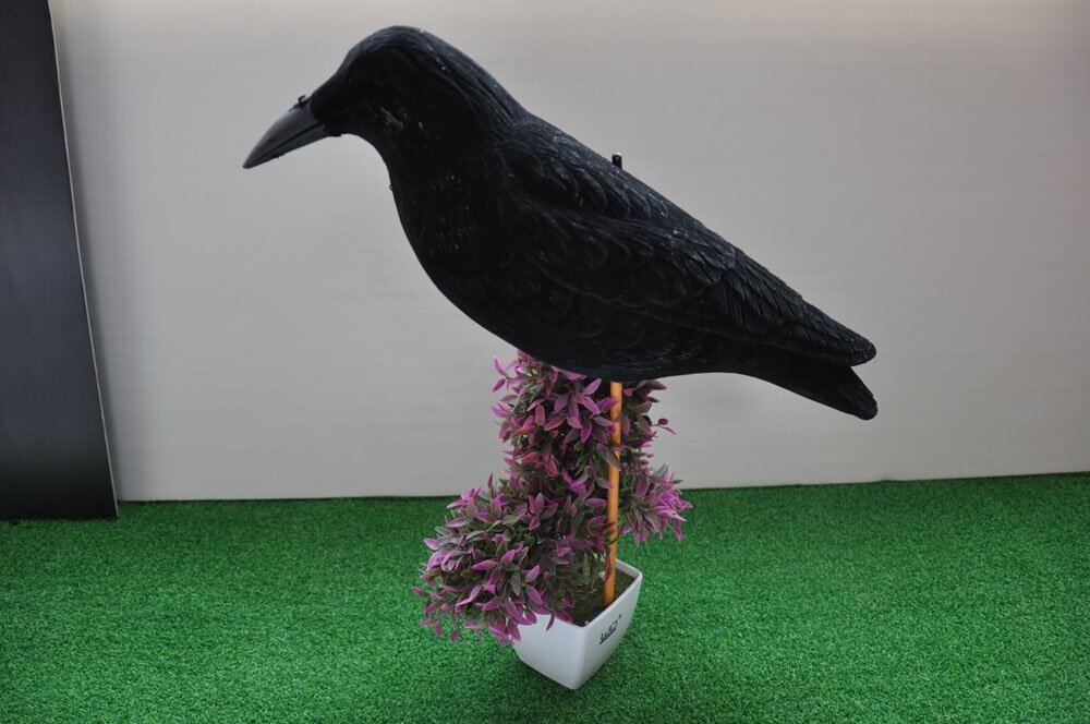 Special design black ful body Flocked Plastic Crows decoy garden decoration crow