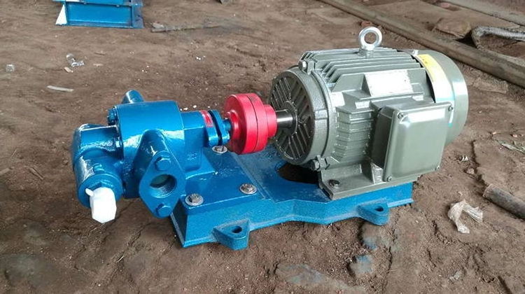 High Temperature Vegetable Oil Pump Gear Type Lube Oil Transfer Pump