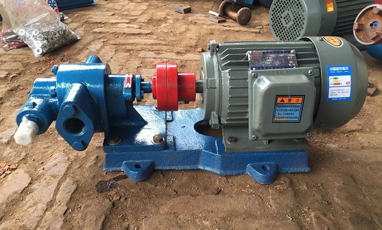 High Temperature Vegetable Oil Pump Gear Type Lube Oil Transfer Pump