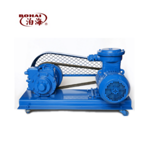 Liquid ammonia pump LPG pump  Industrial explosion-proof   ropane pump