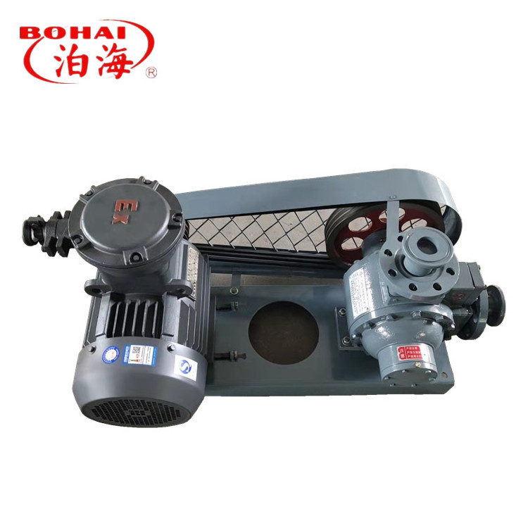 Liquid ammonia pump LPG pump  Industrial explosion-proof   ropane pump