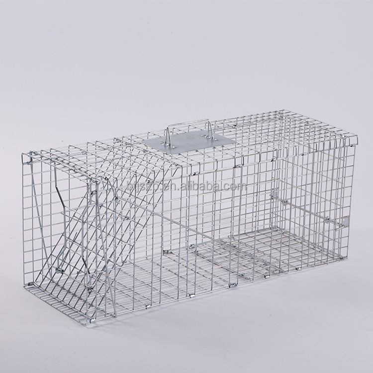 Humane rescue cage stray dog Stray cat cage trap cage with automatic lock