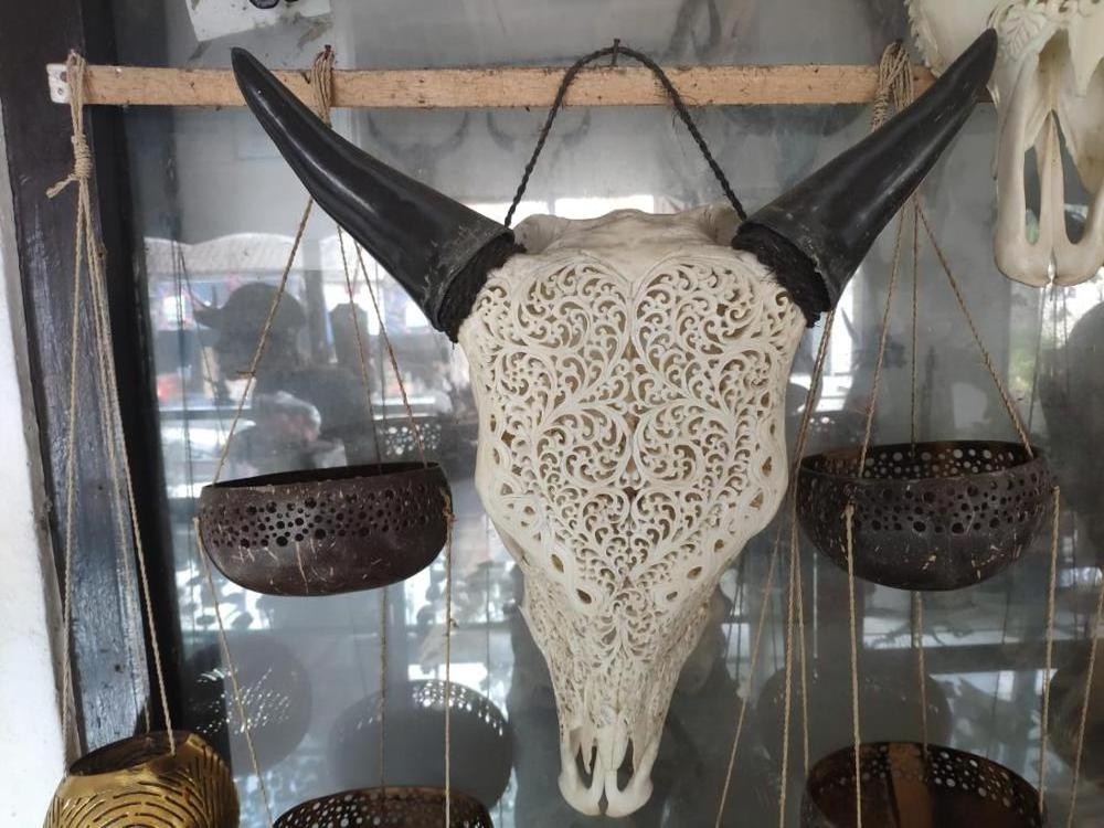 Carved buffalo skulls, Carved Ram Skulls, Carved Cow Skulls Bali Original Bone Carved Home Decoration