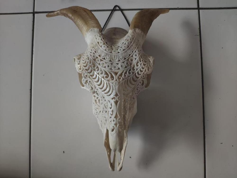 Ram skulls carved goat skulls carving 100% in handmade high quality carving by special artisans