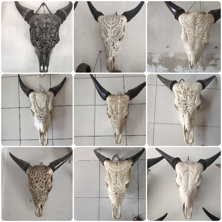 Carved buffalo skulls, Carved Ram Skulls, Carved Cow Skulls Bali Original Bone Carved Home Decoration