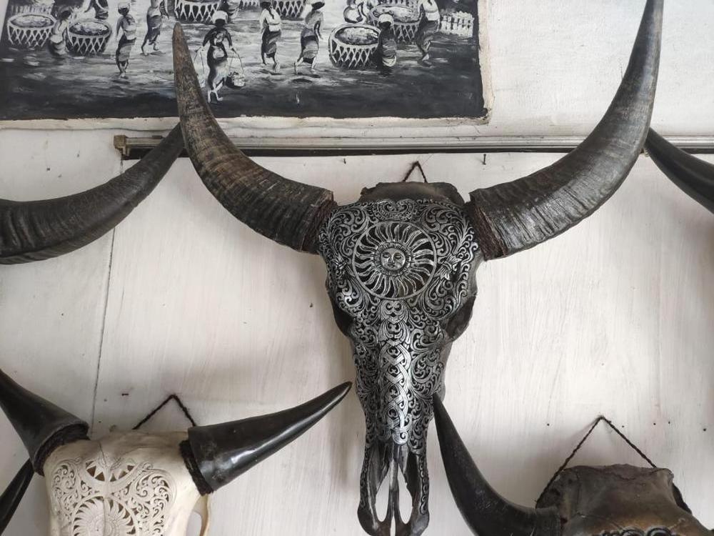 Real buffalo skulls high quality hand carved in stock mixed design fast delivery