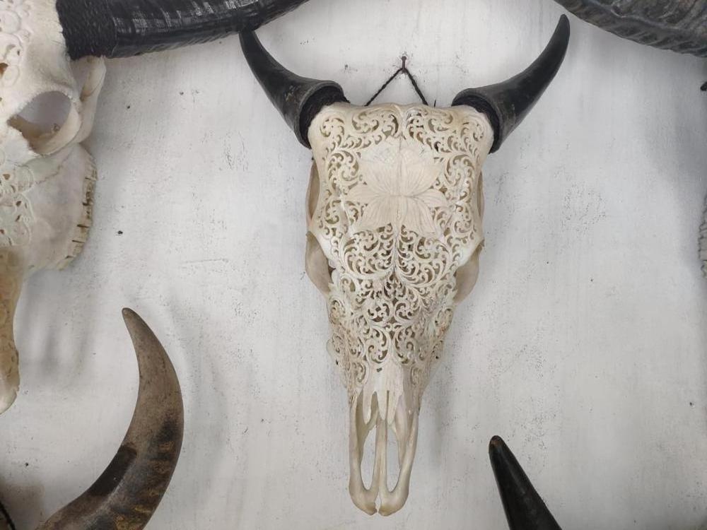 Carved buffalo skulls, Carved Ram Skulls, Carved Cow Skulls Bali Original Bone Carved Home Decoration