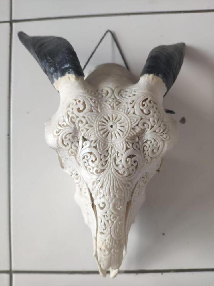 Ram skulls carved goat skulls carving 100% in handmade high quality carving by special artisans