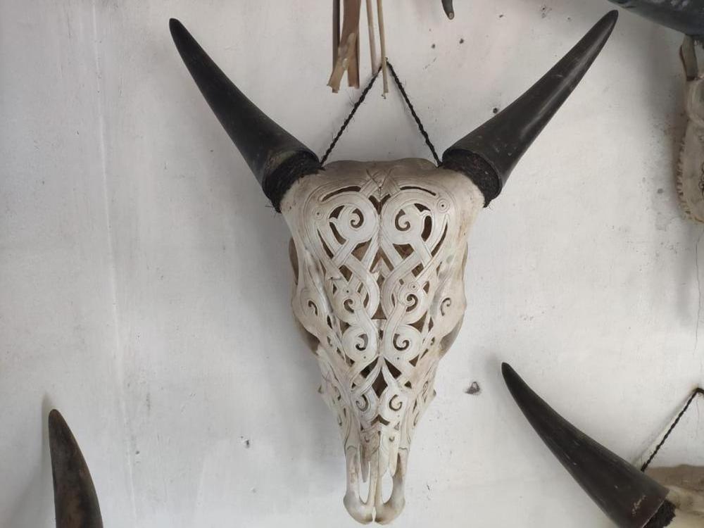 Carved buffalo skulls, Carved Ram Skulls, Carved Cow Skulls Bali Original Bone Carved Home Decoration