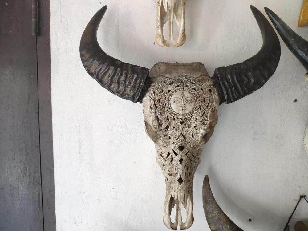 Real buffalo skulls high quality hand carved in stock mixed design fast delivery