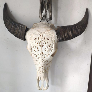 Real buffalo skulls high quality hand carved in stock mixed design fast delivery