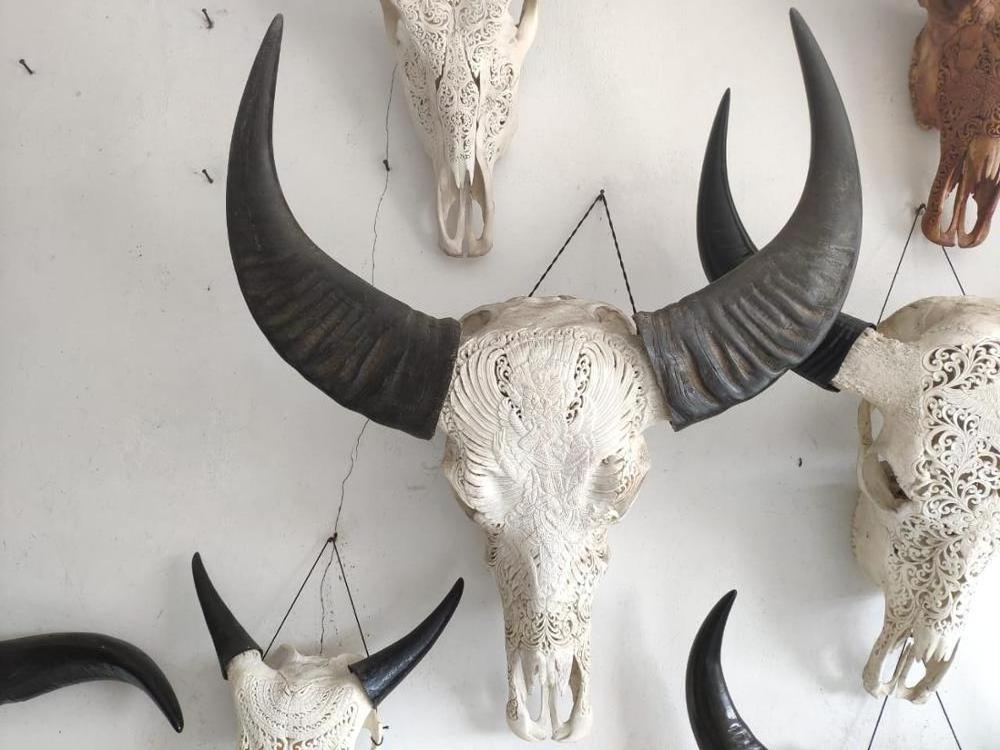 Bali buffalo skulls carving home decoration 100% in handmade fast delivery