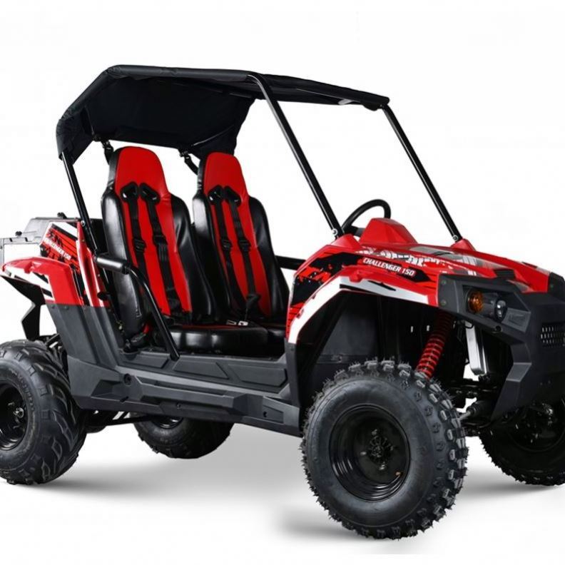 TBM 2 seats buggy dune atv UTV SIDE BY SIDE SSV ATV QUAD for adults