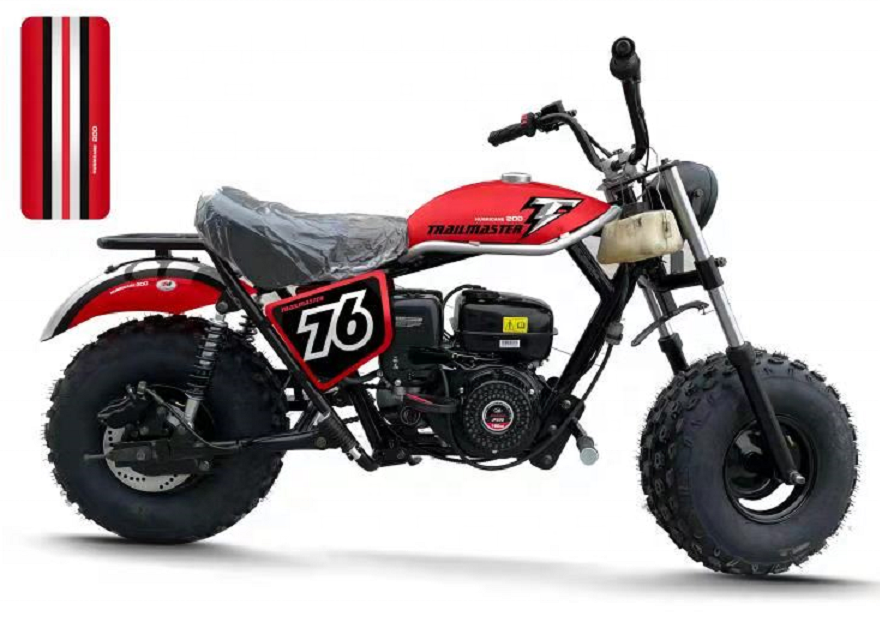 TRAIL BLAZER STORM TBM200 MX196-2  Cheap Mini 80CC Dirt Bike for Kids Gas Powered