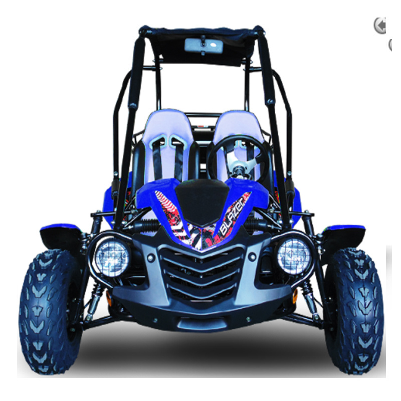 buggypro Trailmaster k1 k3 k5 k7 Go Karts 200cc racing go kart for adults off road go-kart