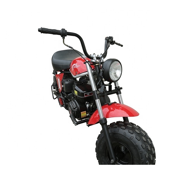 TRAIL BLAZER STORM TBM200 MX196-2  Cheap Mini 80CC Dirt Bike for Kids Gas Powered